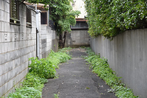 谷