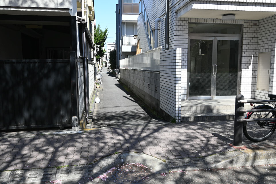 北へ