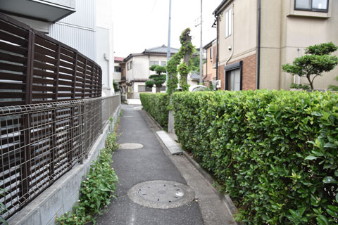 植え込み