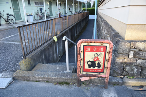きれいな金太郎