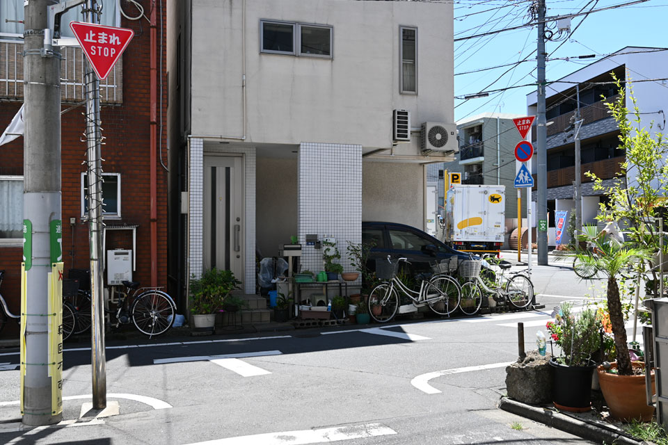 ふどう通り