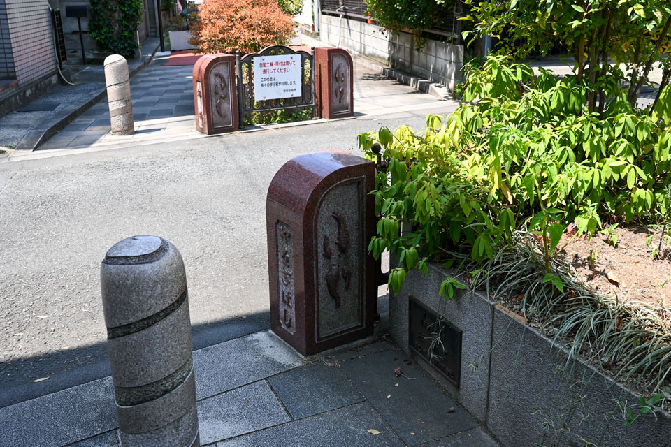 柳橋