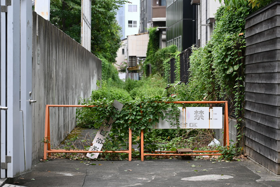 駐車禁止