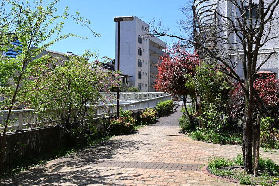 菖蒲橋