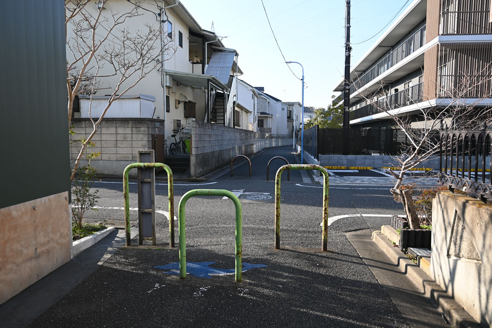 イルカ