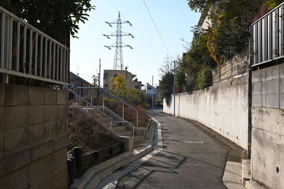 公園