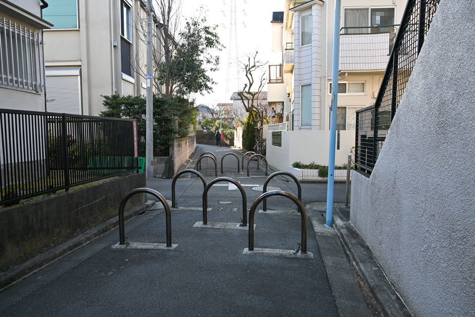 色違い