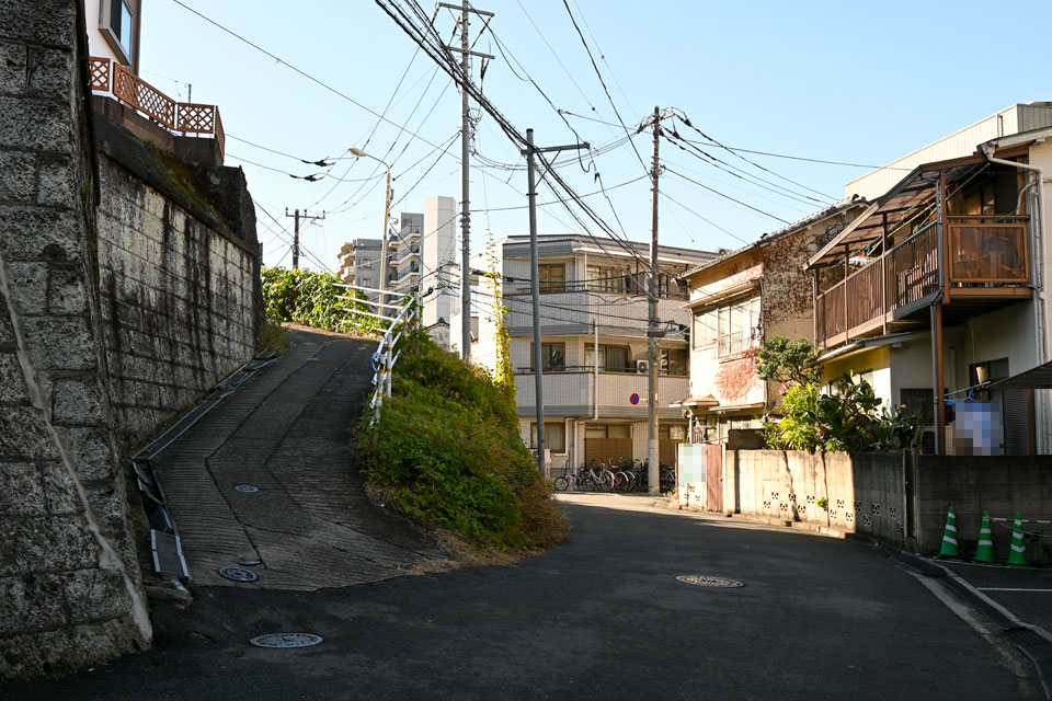 崖