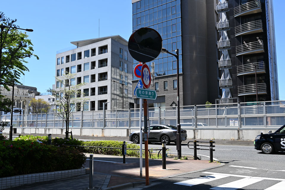 若の芽通り