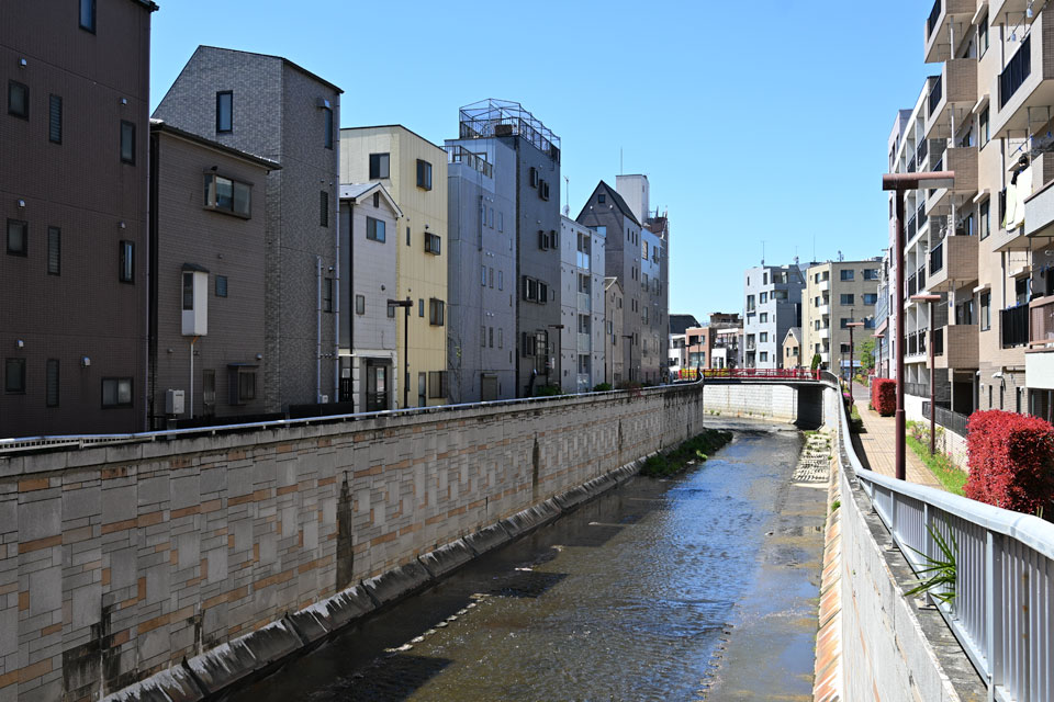 桜橋