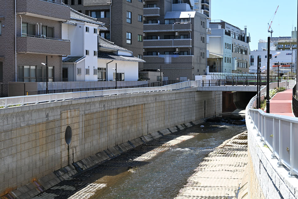 本郷橋