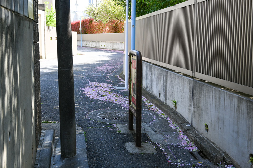 横金