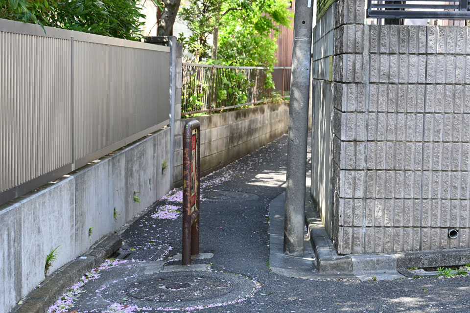 上流から