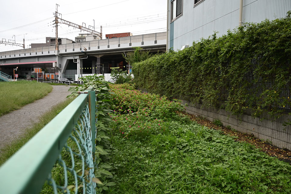 京王線