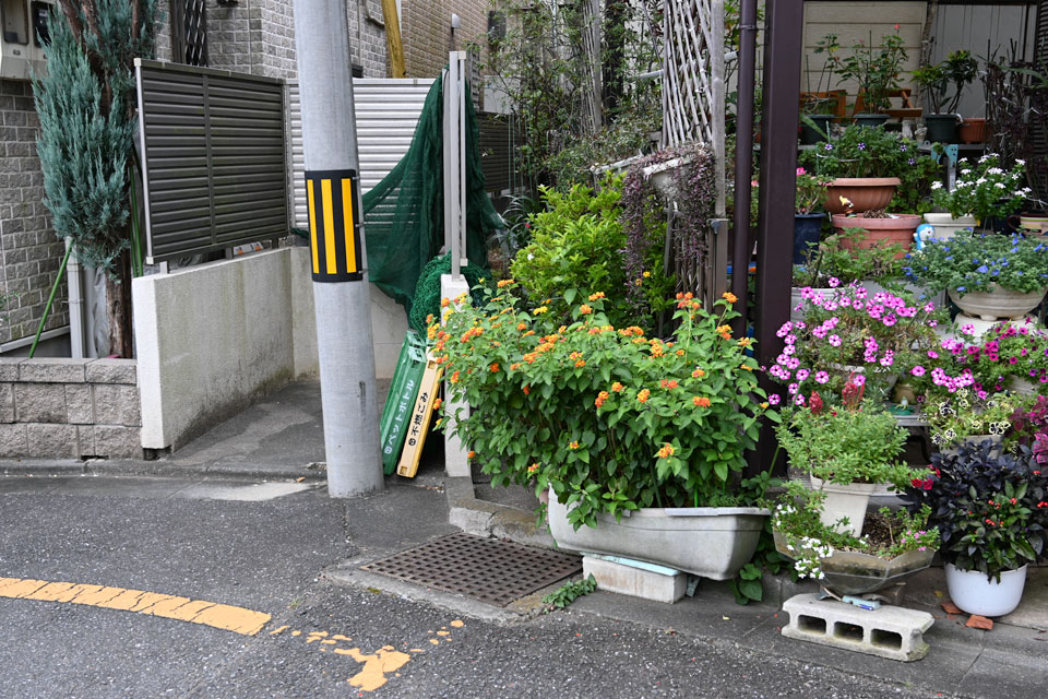 花壇