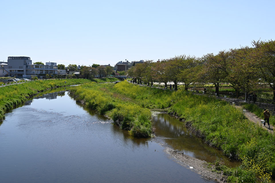 東林橋