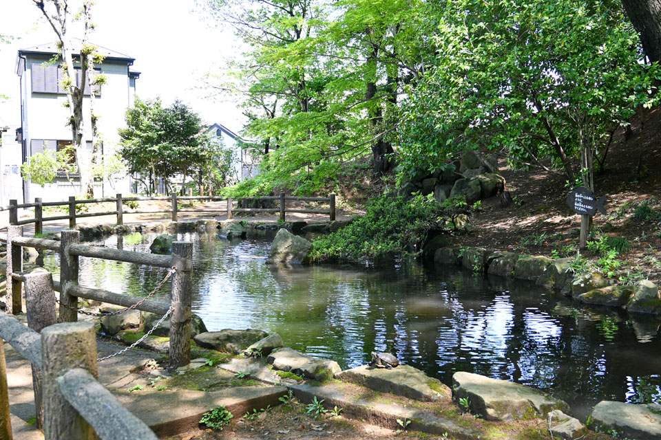 滝の根公園