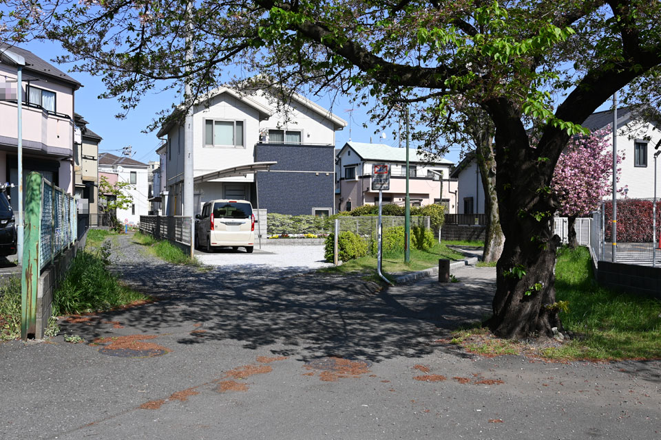 分岐