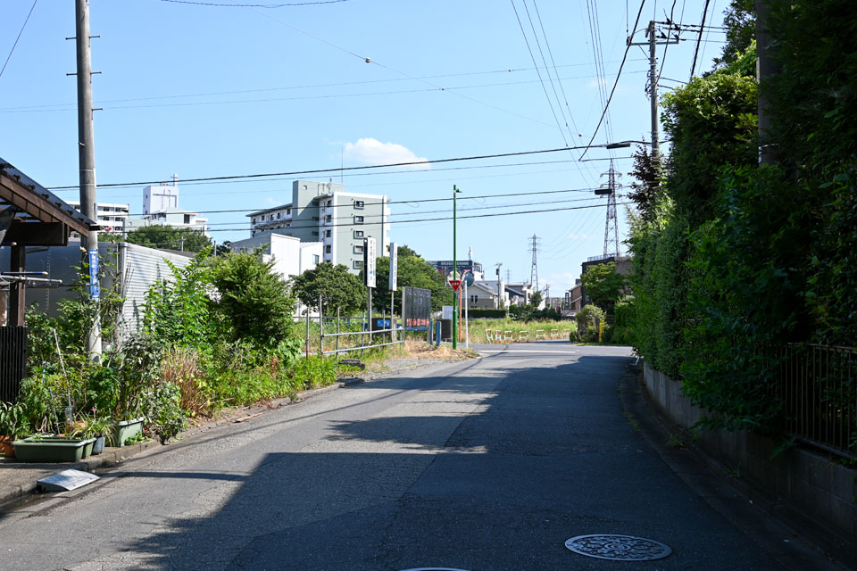 分岐