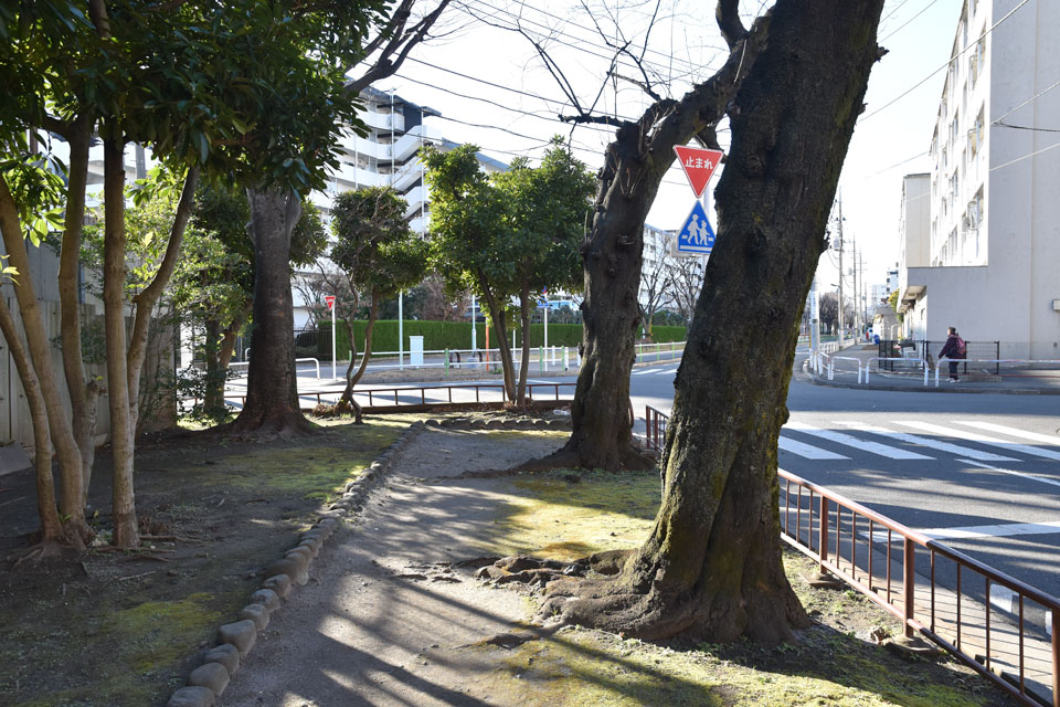 団地