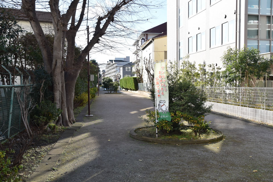 犬可