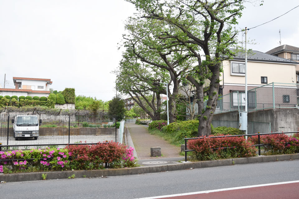遊歩道