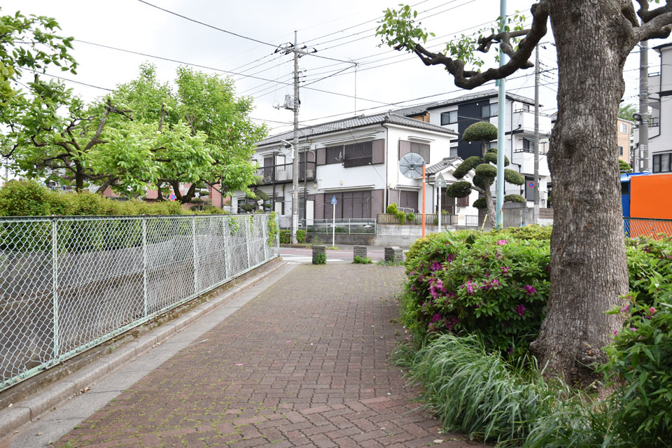 道路