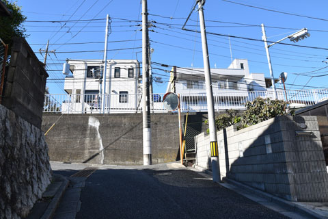 見上げる