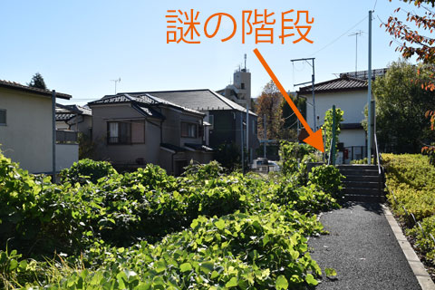 謎の階段