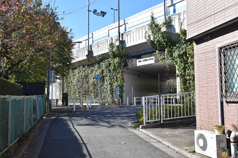 環八