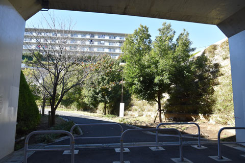 向こう