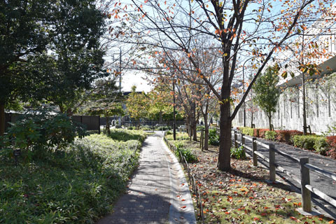 遊歩道