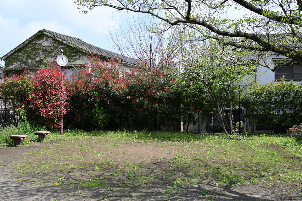 ゆりの木公園