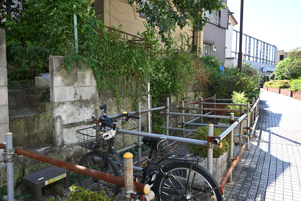 蛇行