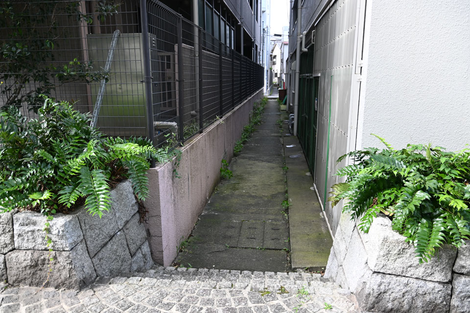 蓋暗渠