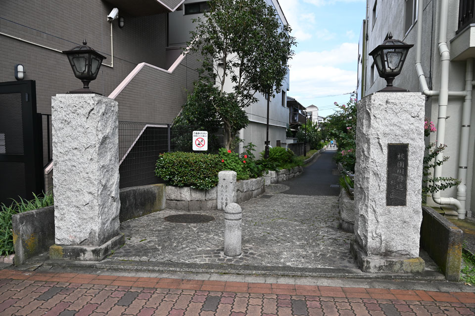 緑道
