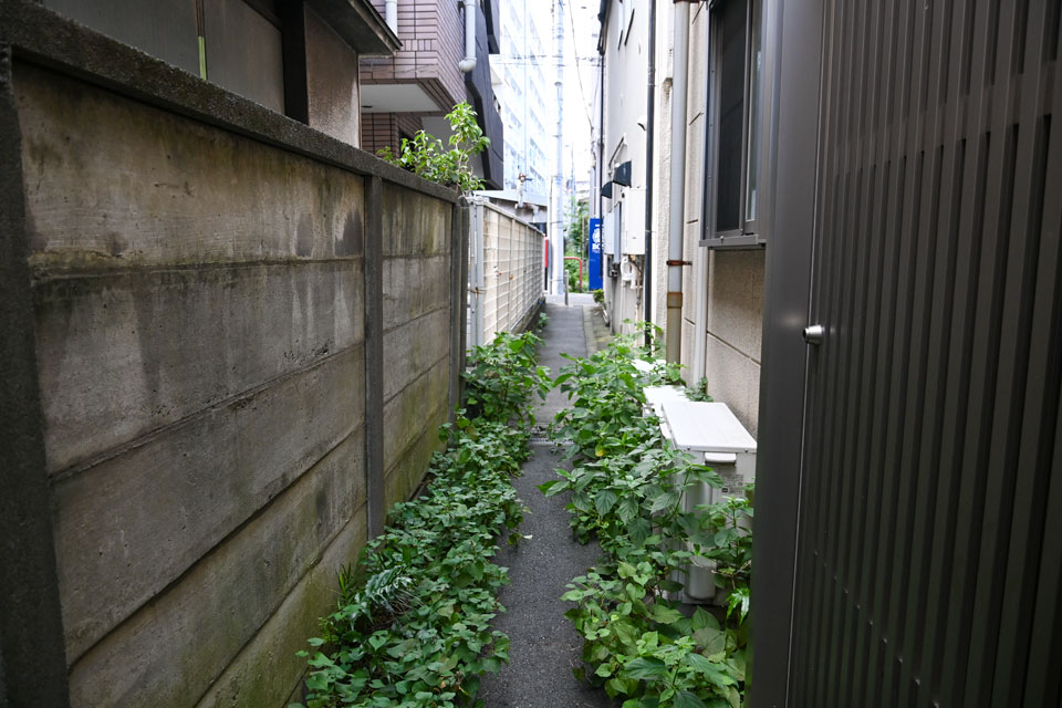 草
