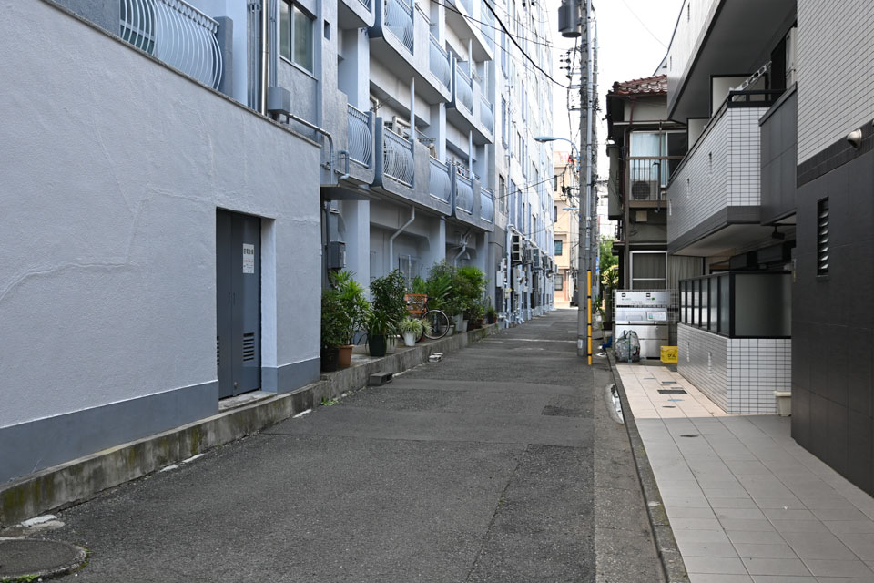 道路