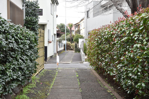 道路を渡る