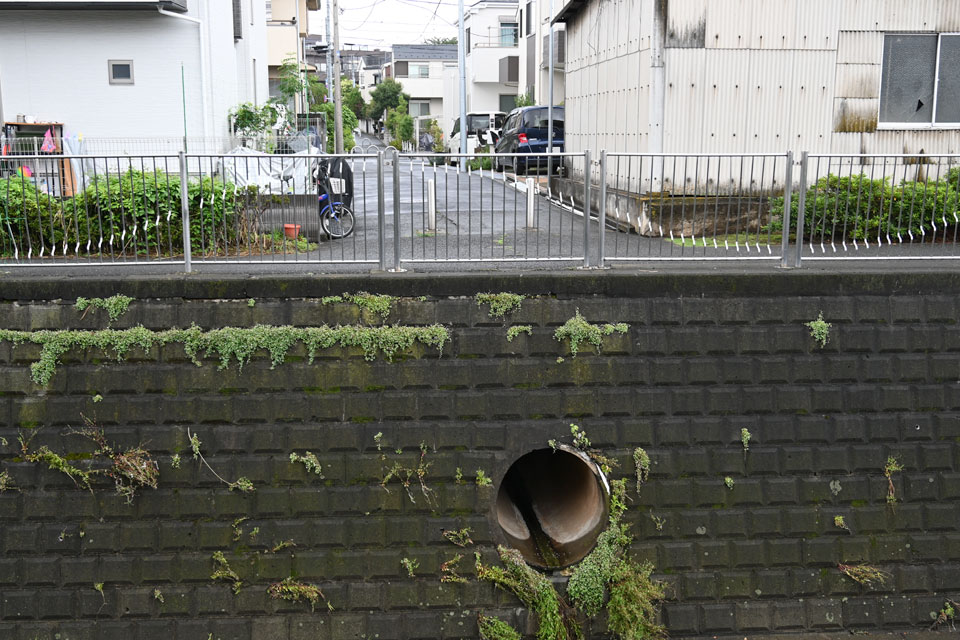 排水口