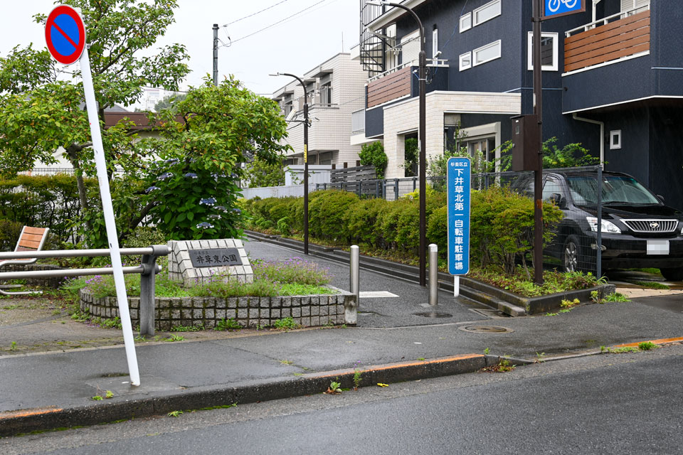 支流