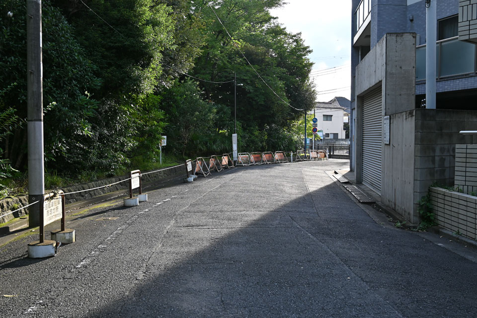 分岐