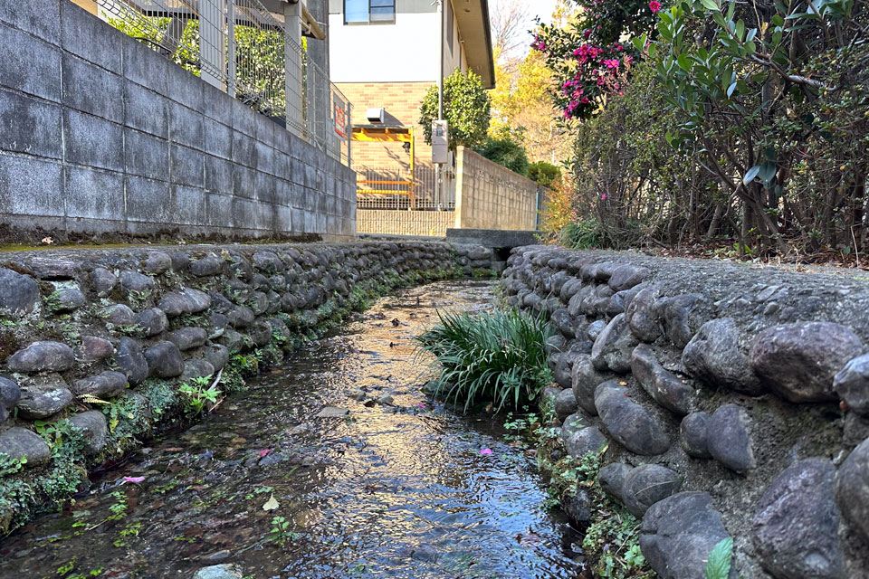 お鷹の道