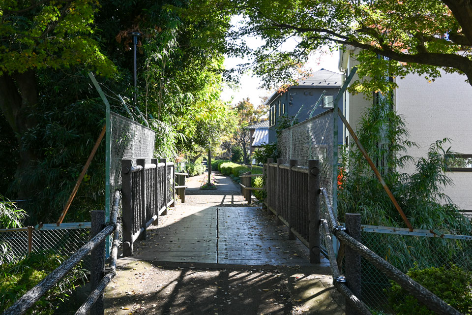 花の通学路