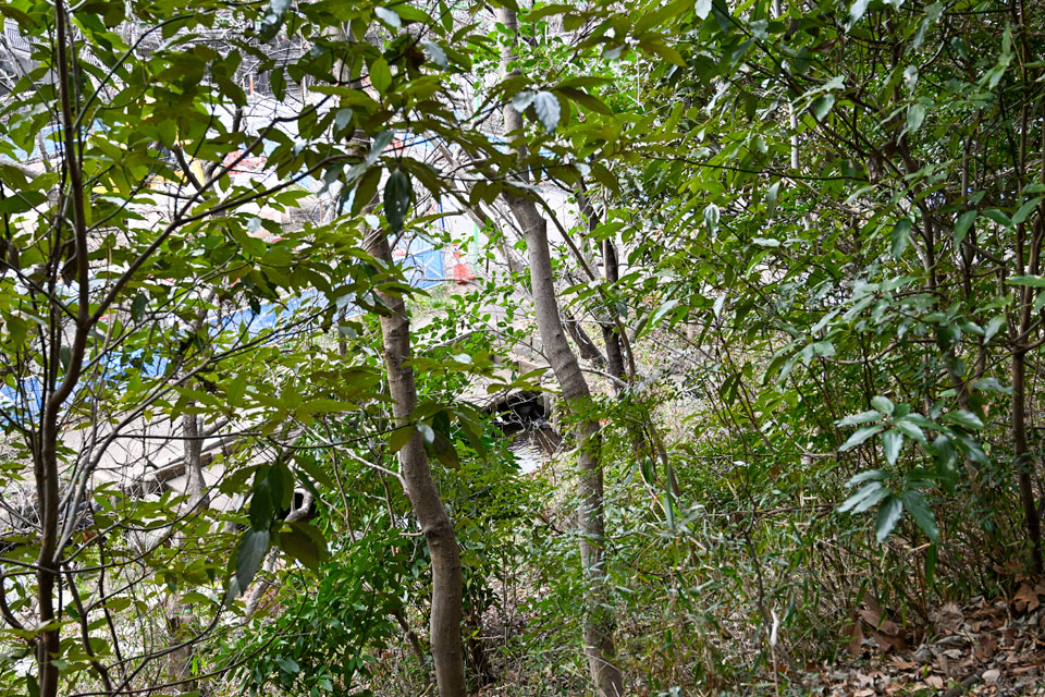 野菜洗い場跡