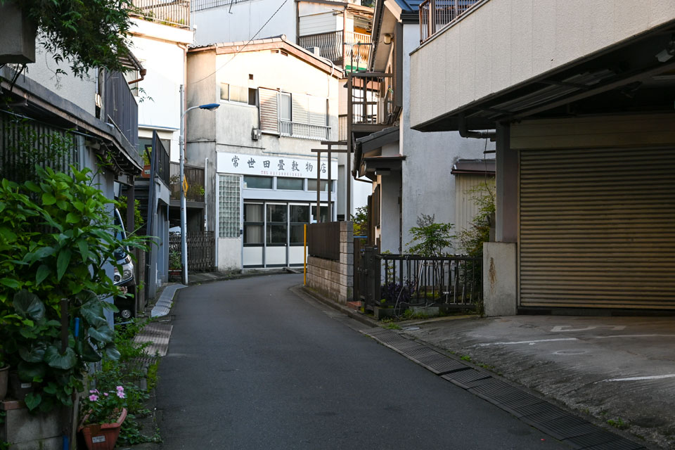 敷物店