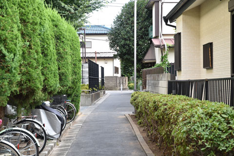 木立