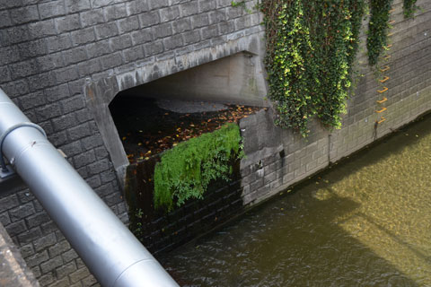 排水口