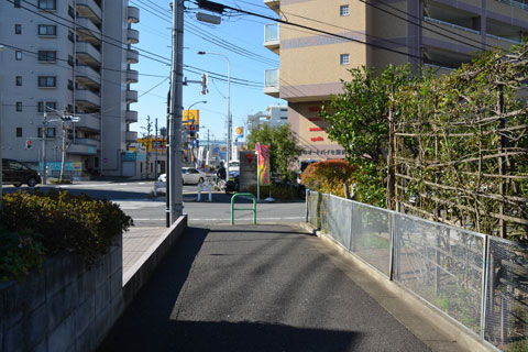 目白通り