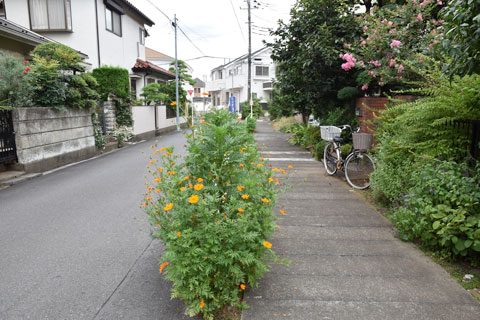 道路脇